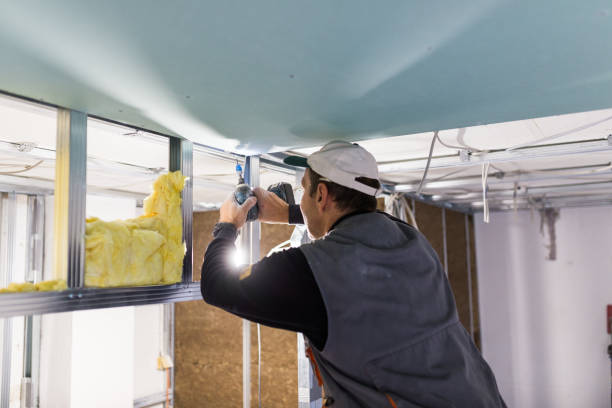 Best Blown-in Insulation in Ferrysburg, MI
